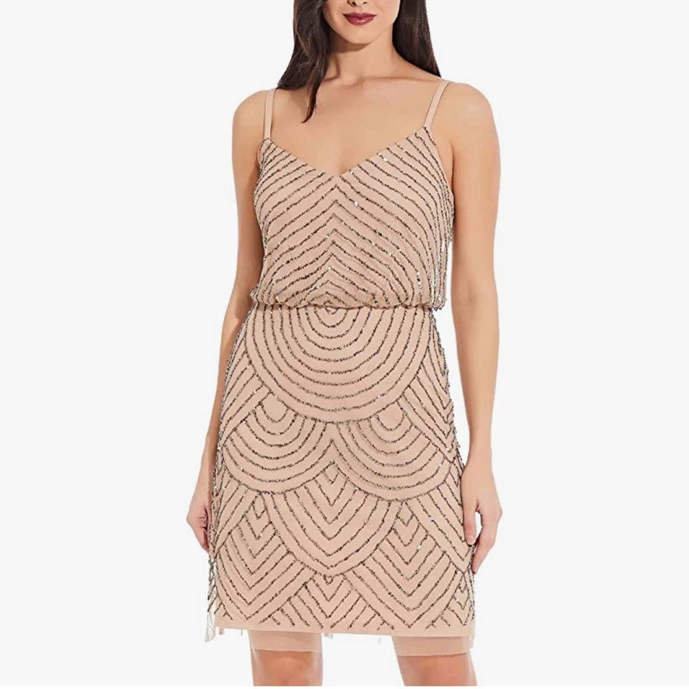 NWT Adrianna Papell Sequin Mesh Blouson Dress Size 4